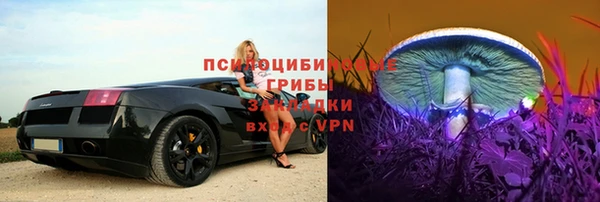 гидра Лагань