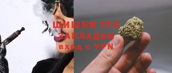 крисы Арсеньев
