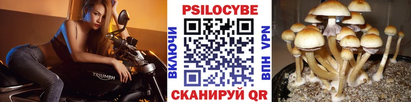 omg ссылки  Полысаево  Галлюциногенные грибы мухоморы 